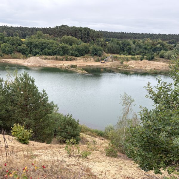 Der Brelinger Berg ruft – Exkursion…